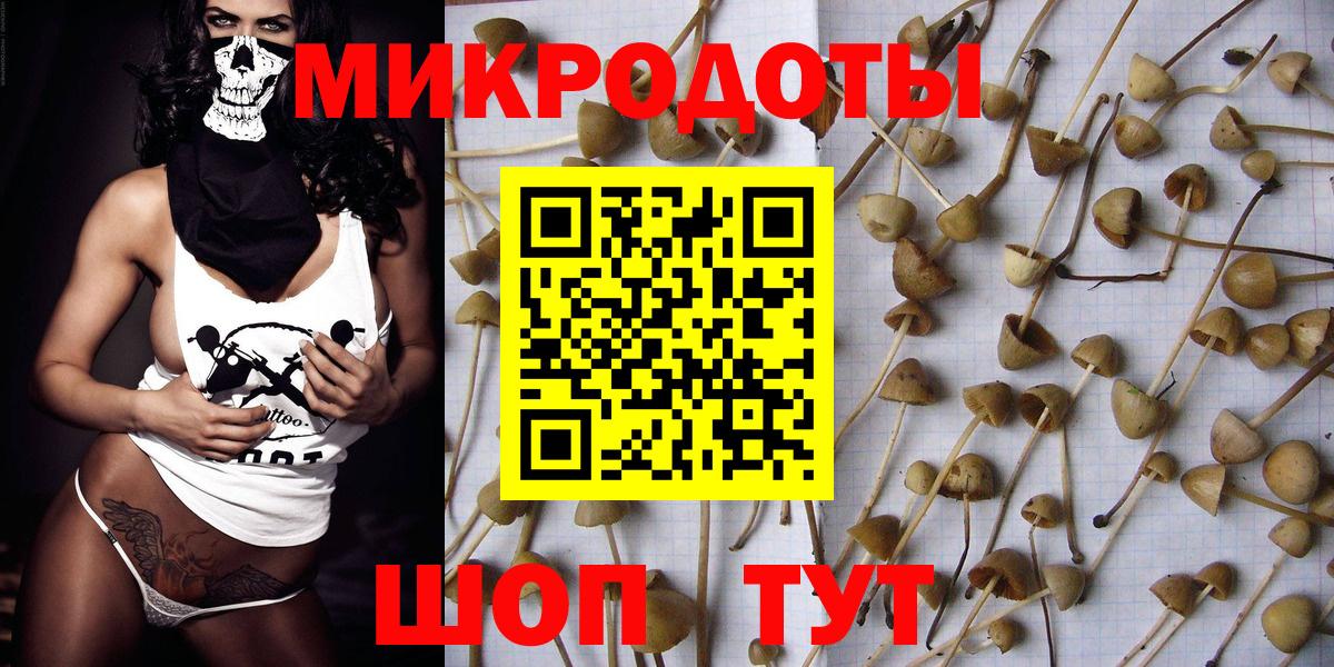 Псилоцибиновые грибы MAGIC MUSHROOMS Южно-Сахалинск