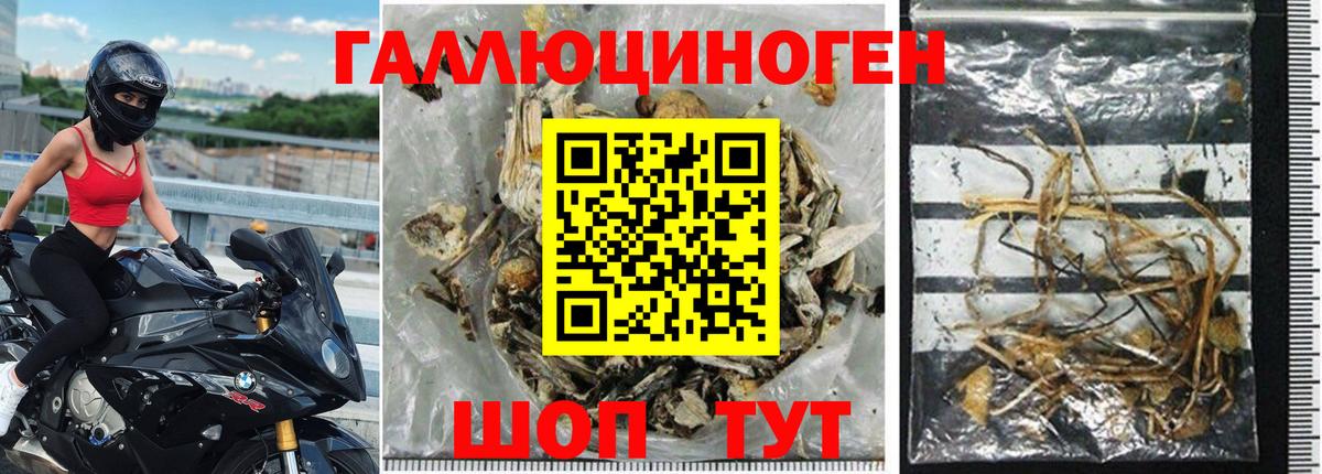 Южно-Сахалинск  где продают наркотики  Вход с VPN  Псилоцибиновые грибы MAGIC MUSHROOMS  Галлюциногенные грибы Magic Shrooms 